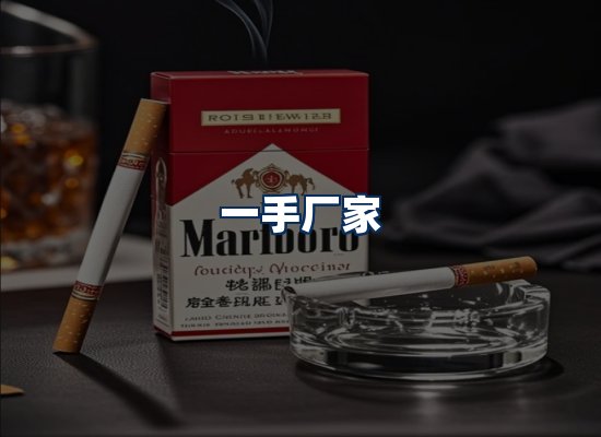 专业团队办公环境